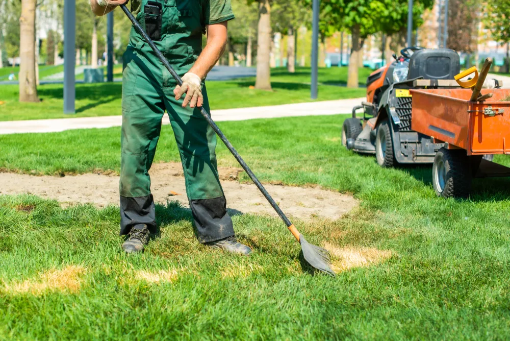 Lawn care 